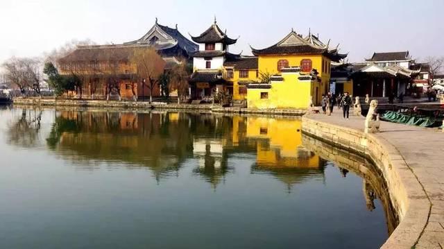 战棋休闲游戏《动物:森林法则》邀您添加心愿单